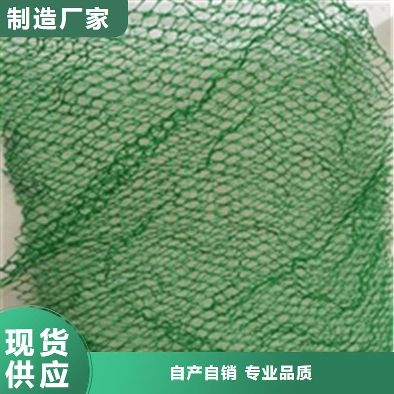 护坡加筋加筋护坡网垫