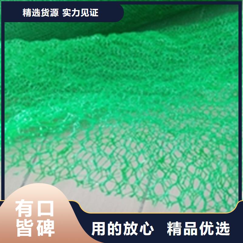 加筋护坡网垫#塑料护坡
