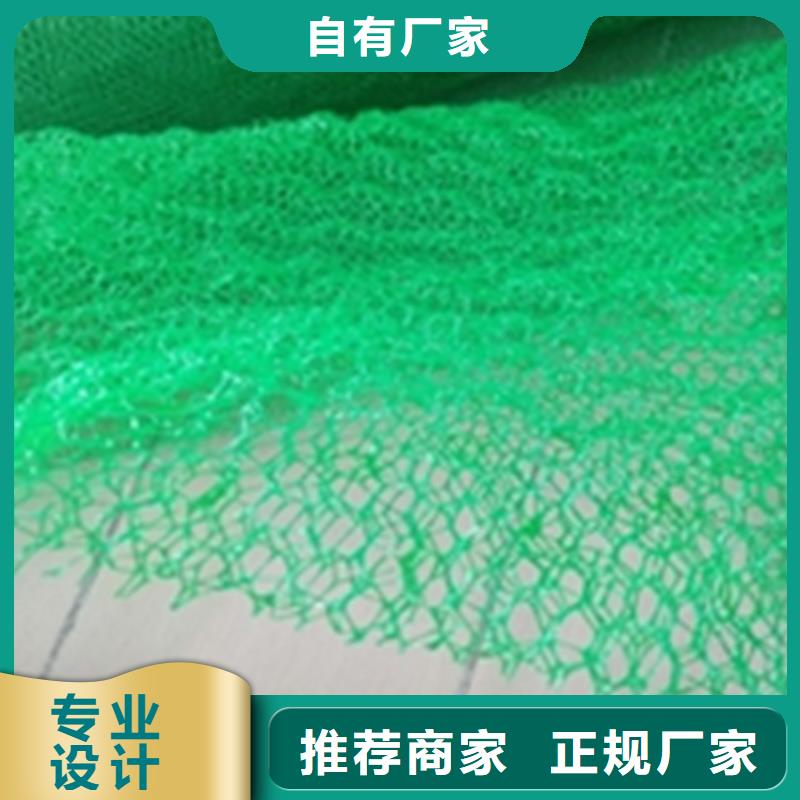 护坡加筋网垫-三维固土网垫