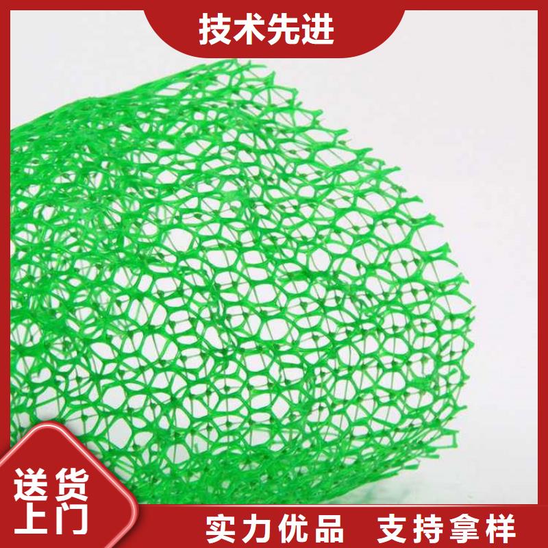 加筋护坡网垫#塑料护坡