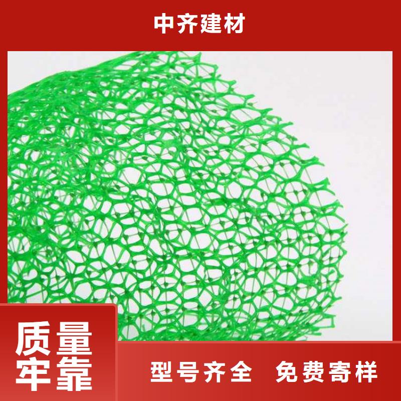 三维植被网-2层3层三维植被网全国发货