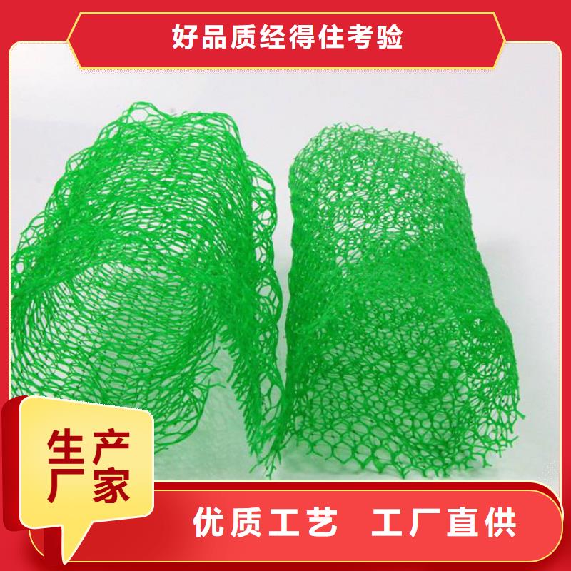 三维植被网#塑料护坡