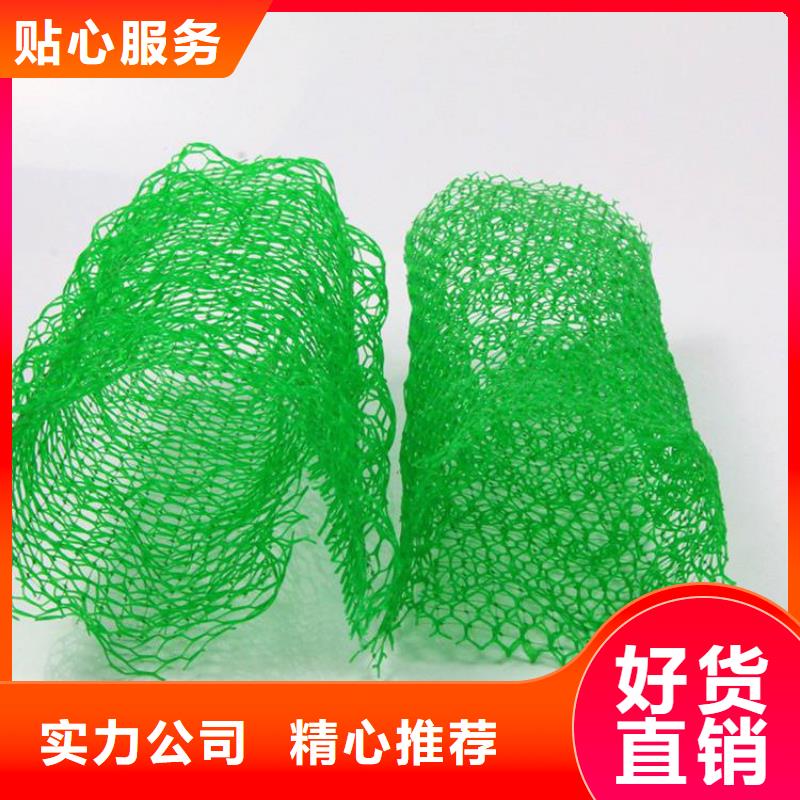 三维植草护坡网垫-三维土工网垫