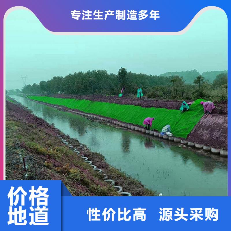 绿化塑料三维加筋土工网垫
