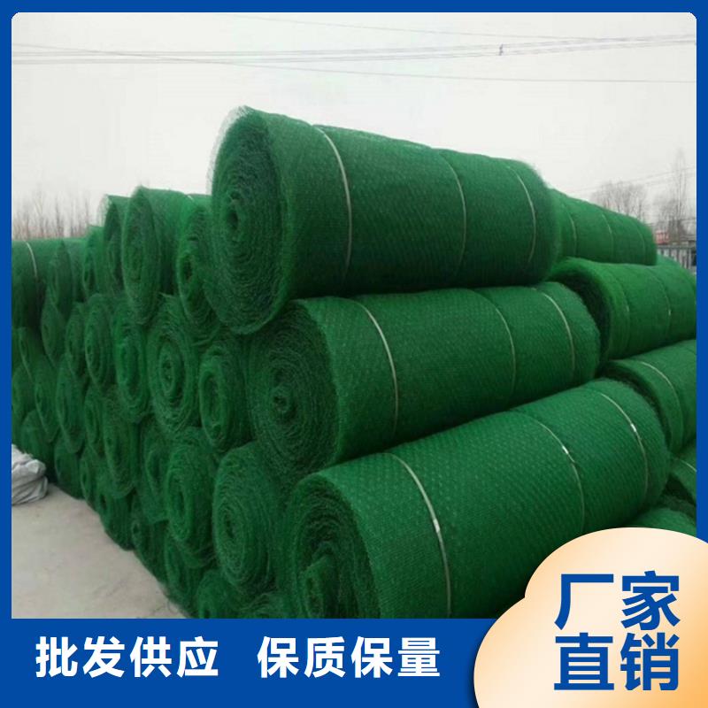 三维固土网垫-EM5三维土工网垫