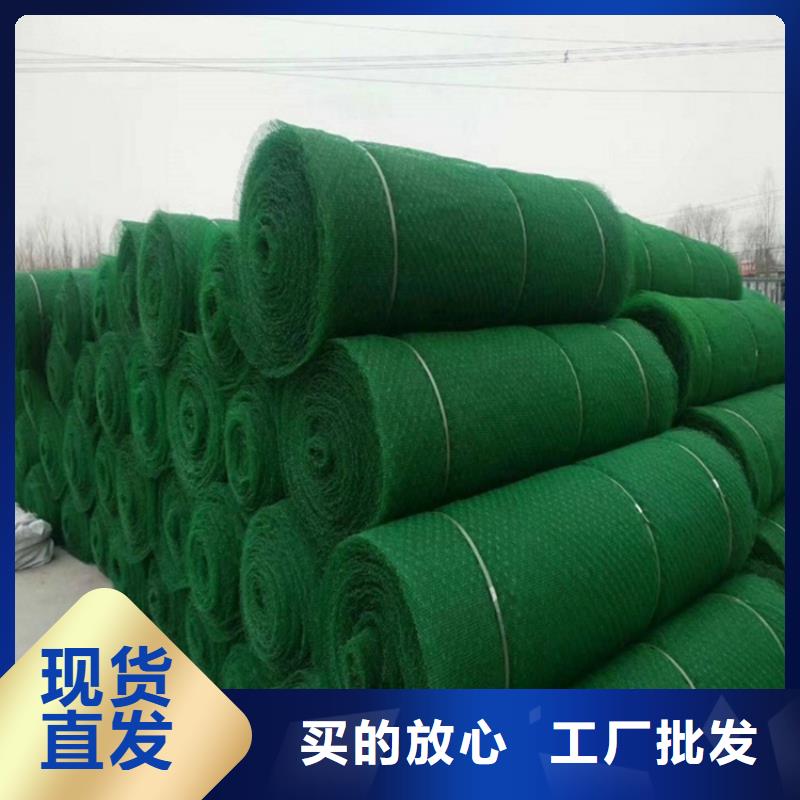 三维植被网-绿色三维植被网