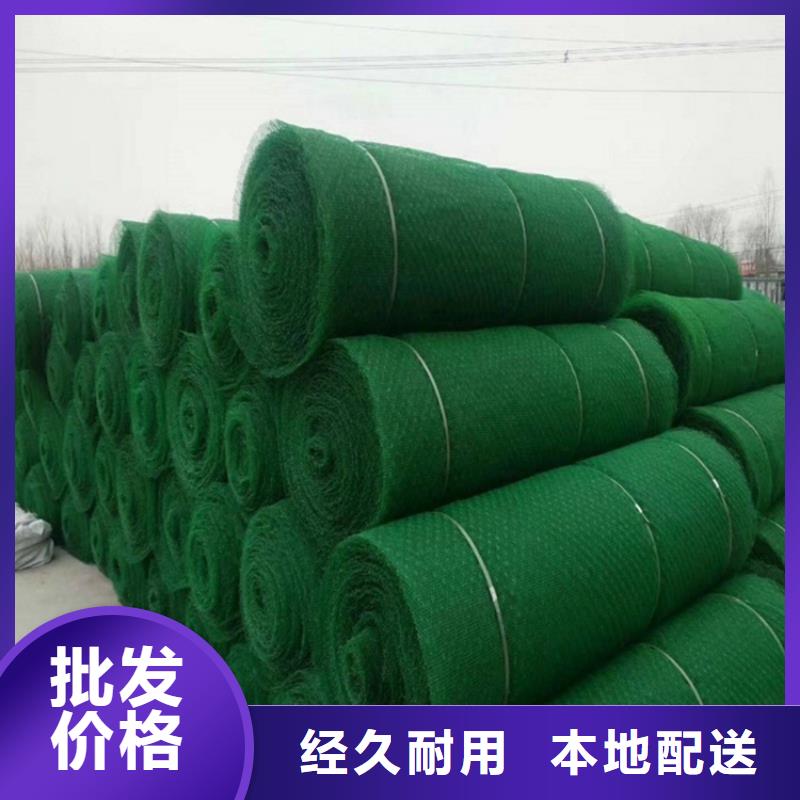 三维植草护坡网垫-三维土工网垫