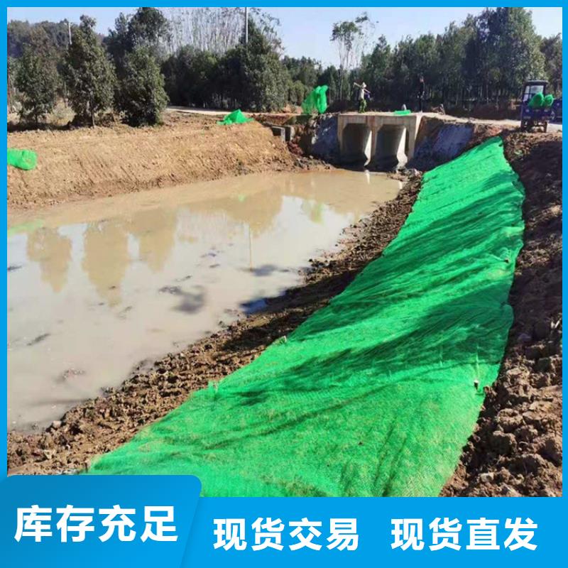 三维植被网#塑料护坡
