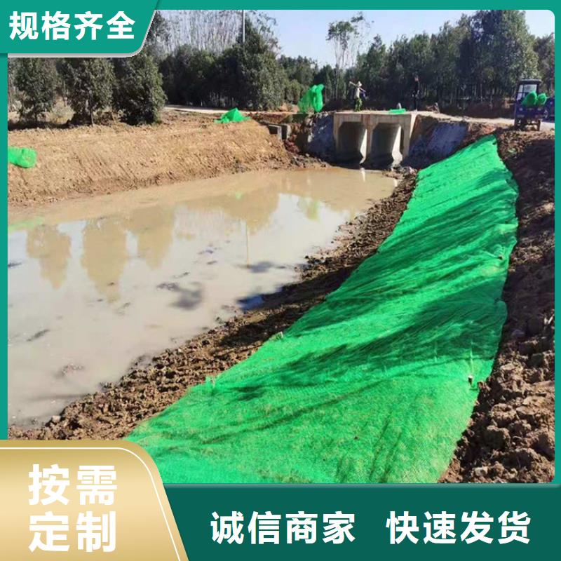 三维植被网钢塑土工格栅品质商家