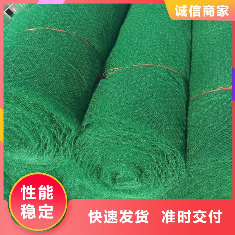 三维植被网植草格好货直供