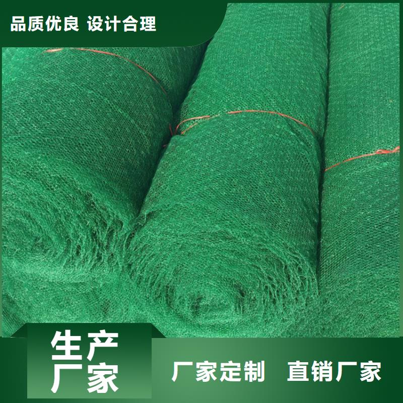 护坡EM4三维加筋土工网垫