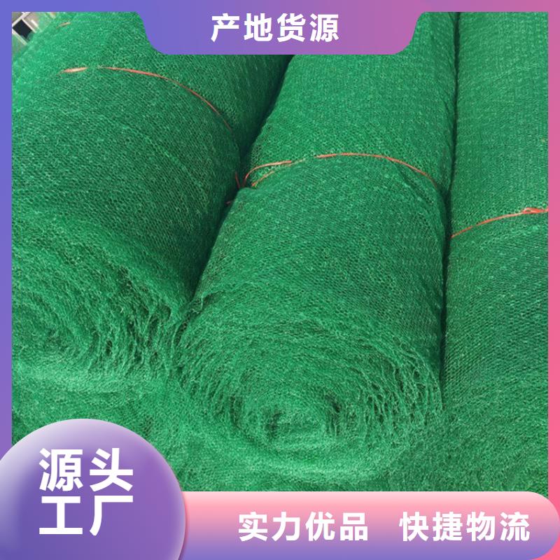 三维护坡植草网垫诚信厂家