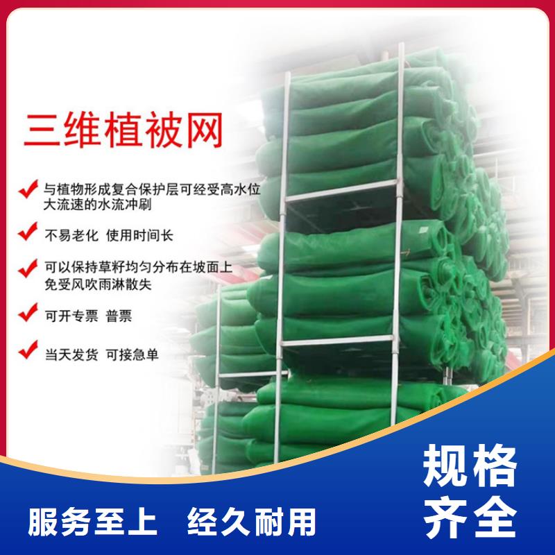 三维护坡植草网垫厂家动态已更新