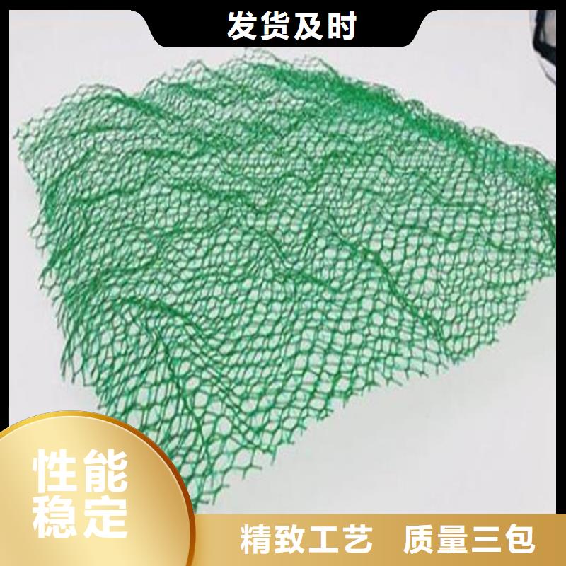 三维土工网垫-边坡三维土工网垫