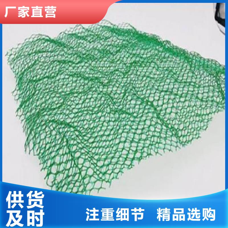 三维护坡加筋网垫#塑料环保