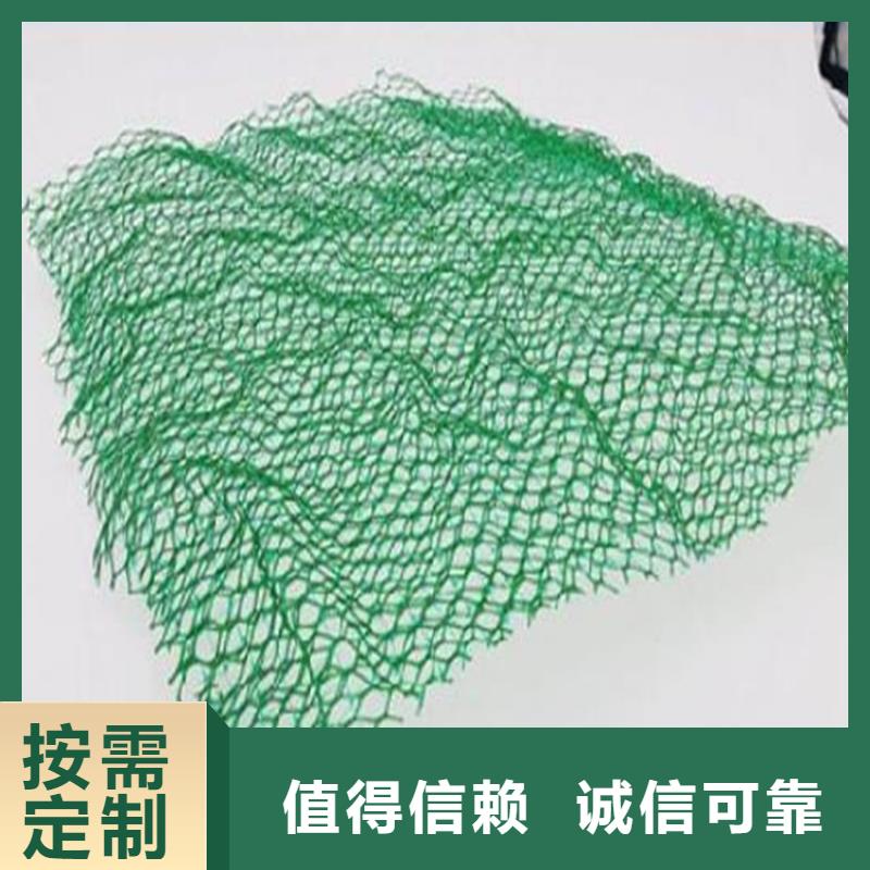 三维植草护坡网垫-三维土工网垫