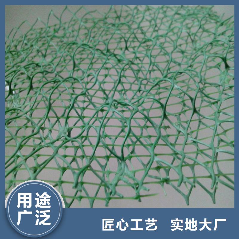 护坡加筋网垫-三维网植草护坡型号结构