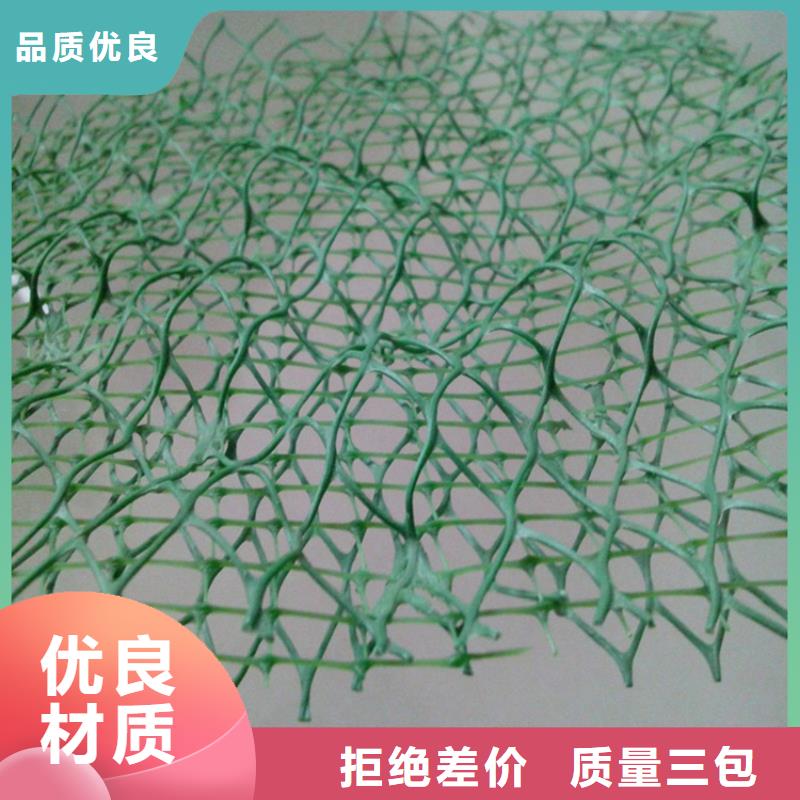 护坡加筋网垫-三维土工网