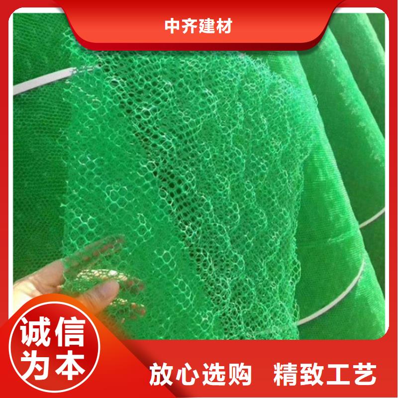 三维土工网垫-EM3三维土工网垫厂家市场经销