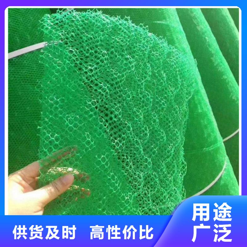 护坡加筋网垫-三维土工网垫