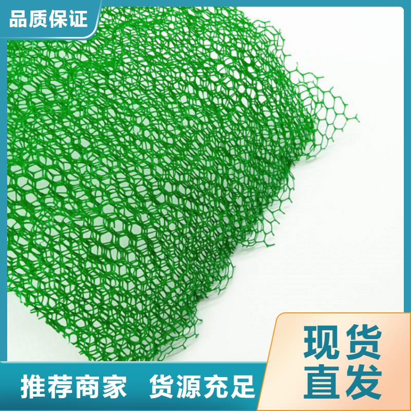 三维植草护坡网垫-三维土工网垫