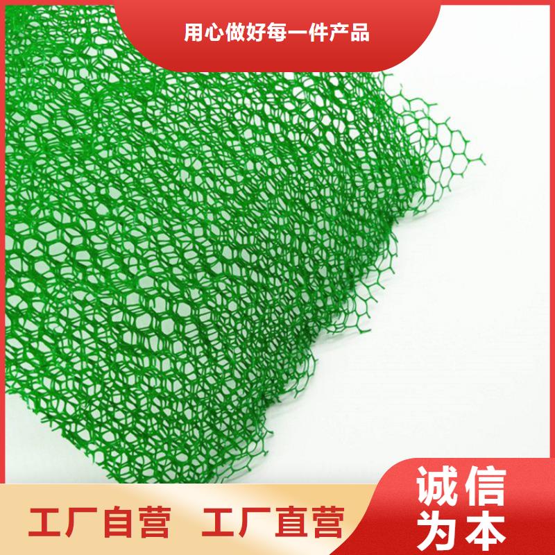三维植被网厂家供应