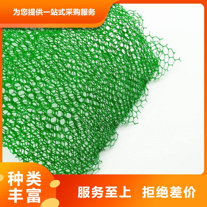 三维土工网垫-边坡三维植被网