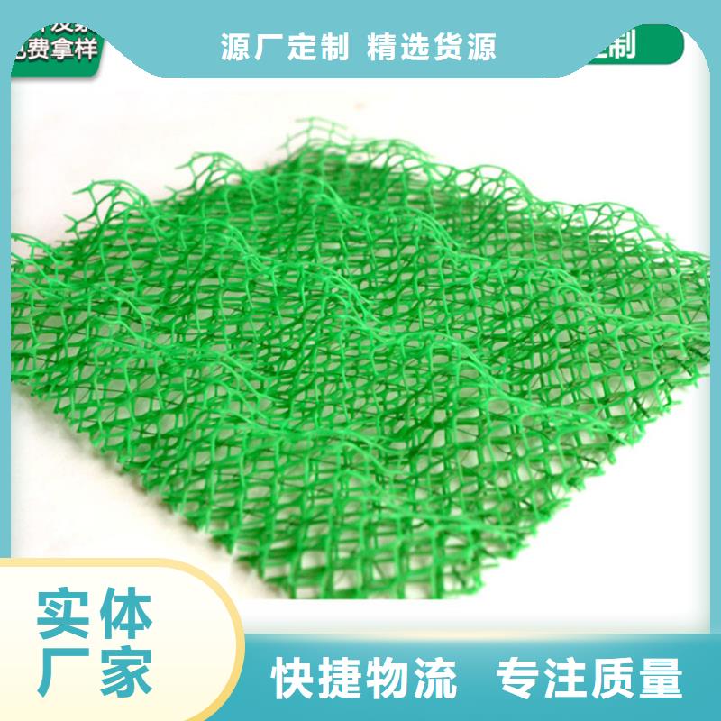 三维护坡植被网垫本地批发