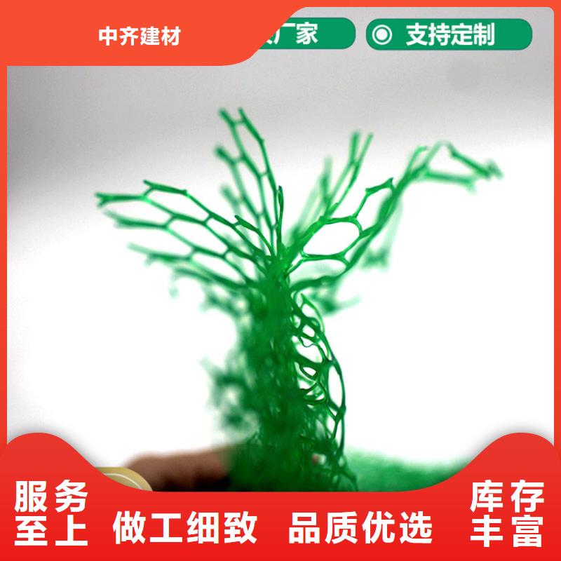三维植被网植草格好货直供