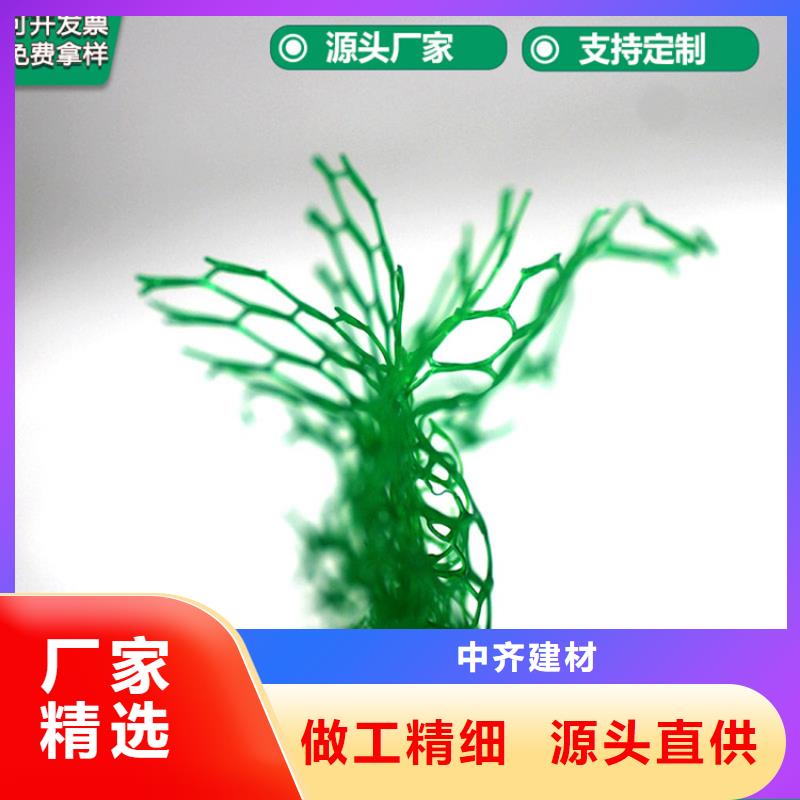 三维植被网植草格好货直供