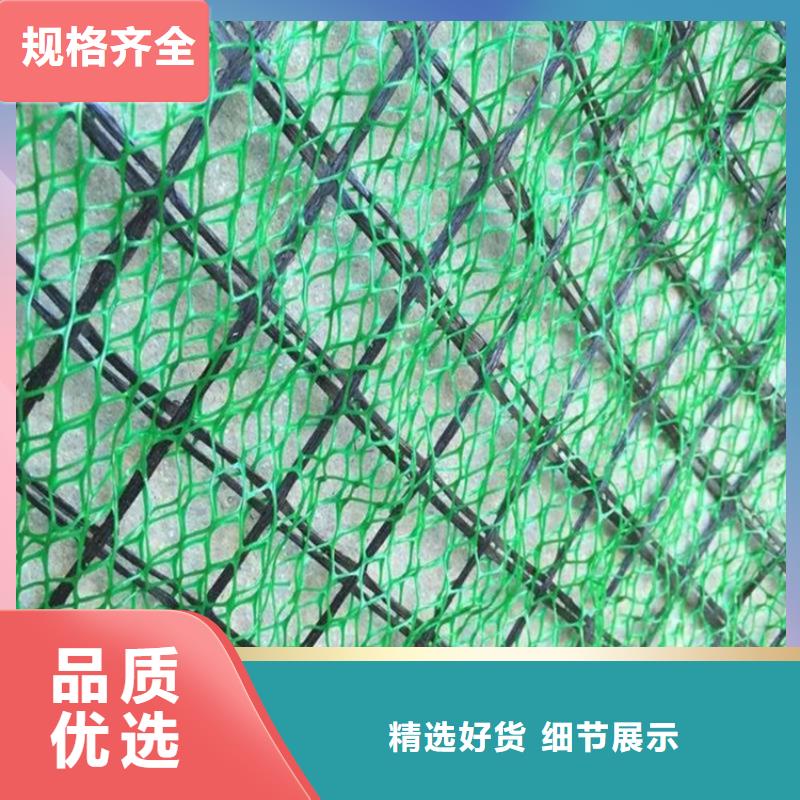 加筋护坡网垫#塑料护坡