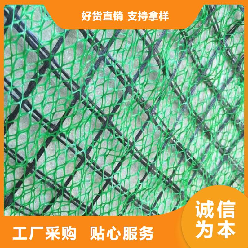 三维土工网垫-边坡三维土工网垫