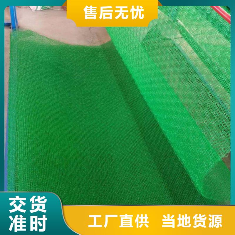 三维护坡植草网垫诚信厂家