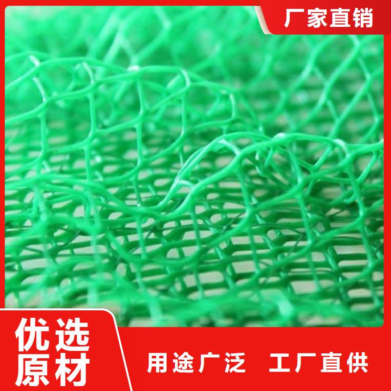 三维土工网垫-边坡三维植被网