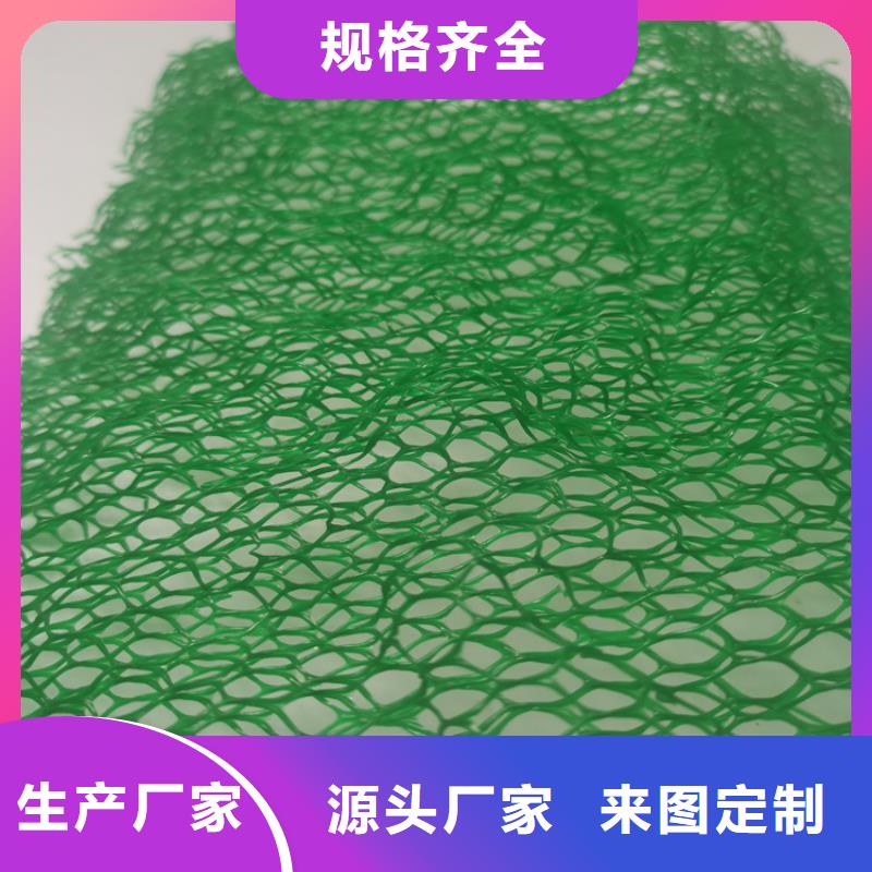 三维植草护坡网垫-三维土工网垫