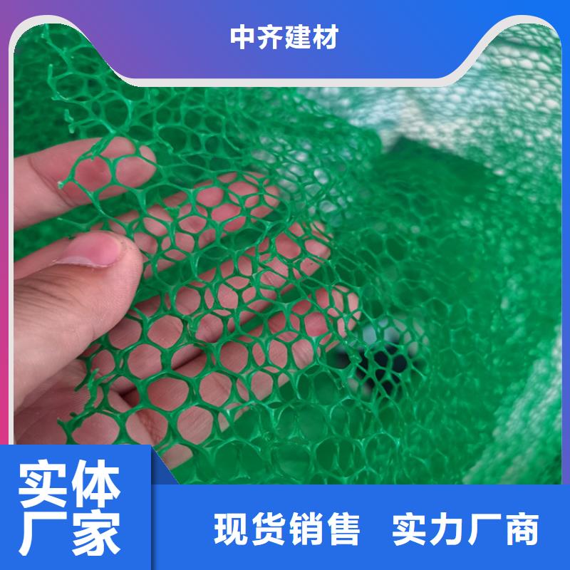 三维加筋土工网垫#EM4EM5