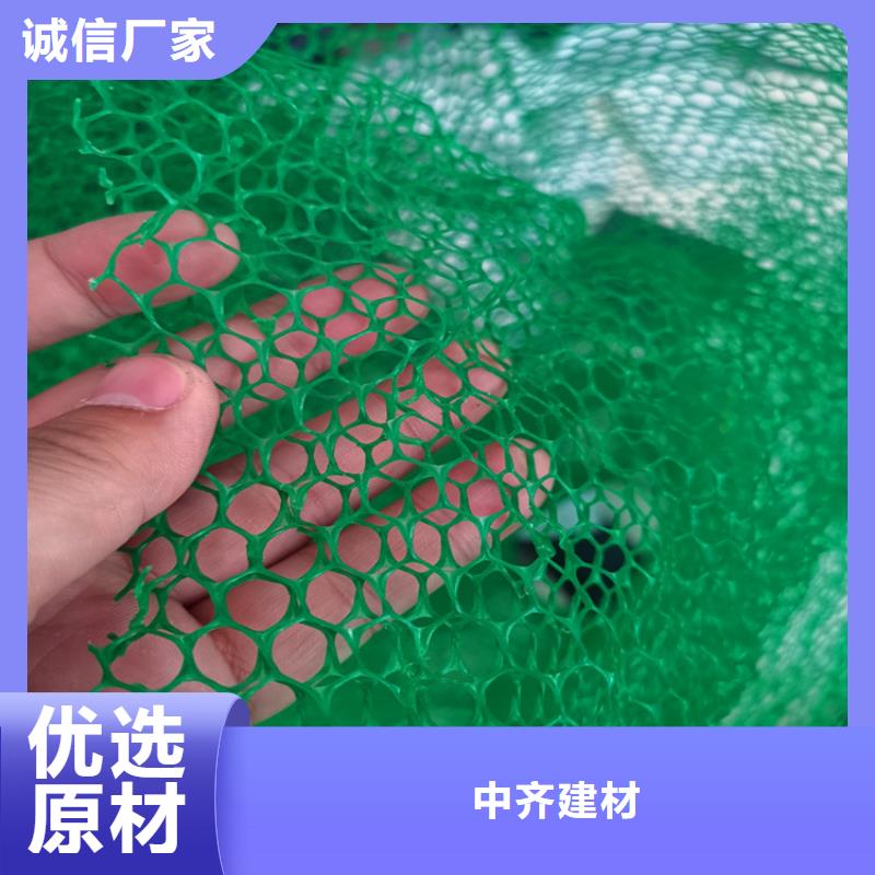 三维植被网#塑料护坡