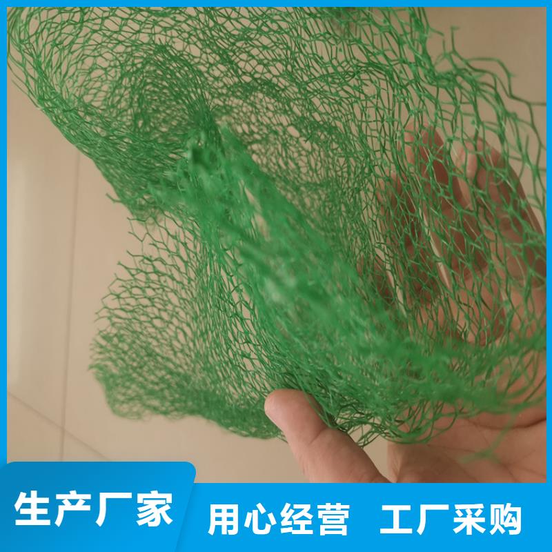 三维土工网垫-边坡三维土工网垫
