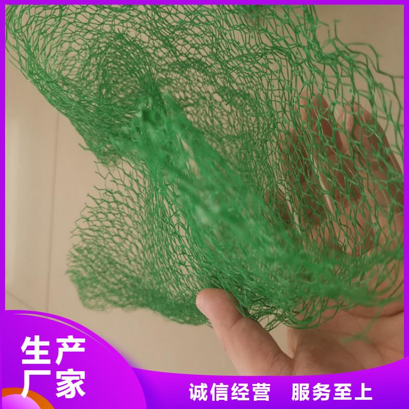 三维固土网垫-EM5三维土工网垫