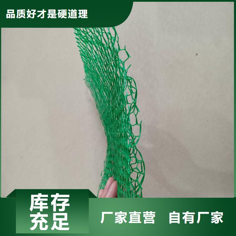 三维植被网钢塑土工格栅品质商家