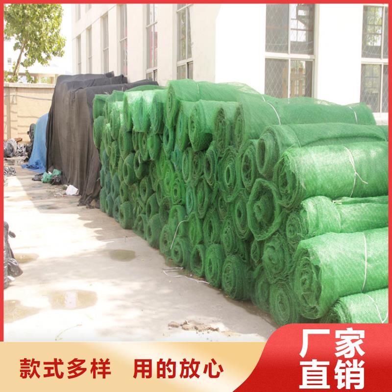 环保护坡三维加筋土工网垫