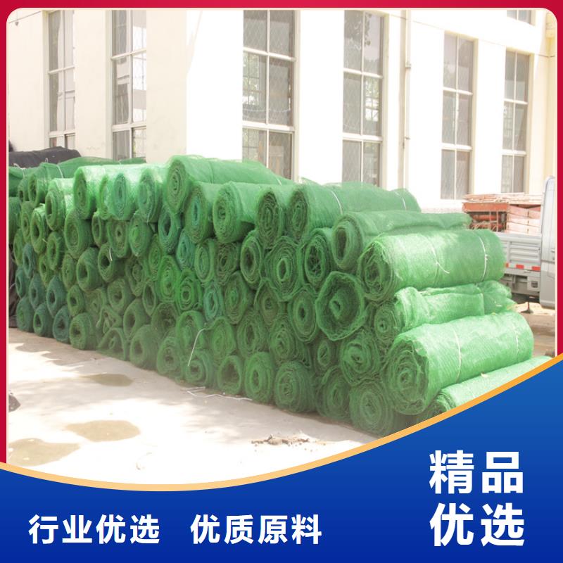 三维植被网钢塑土工格栅品质商家