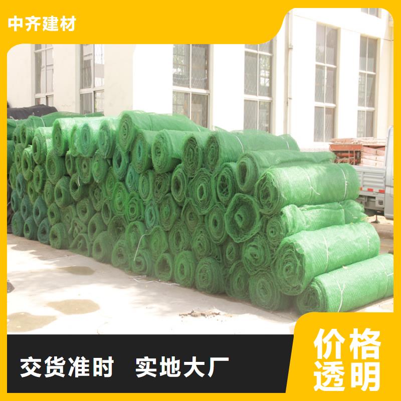 三维加筋植草网垫种类齐全