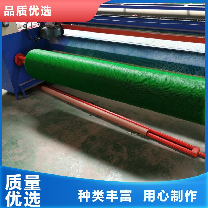 三维固土网垫-加筋三维土工网垫规格