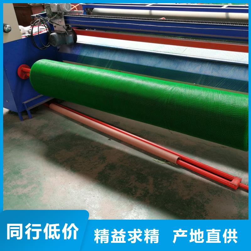 EM2EM4三维土工网垫