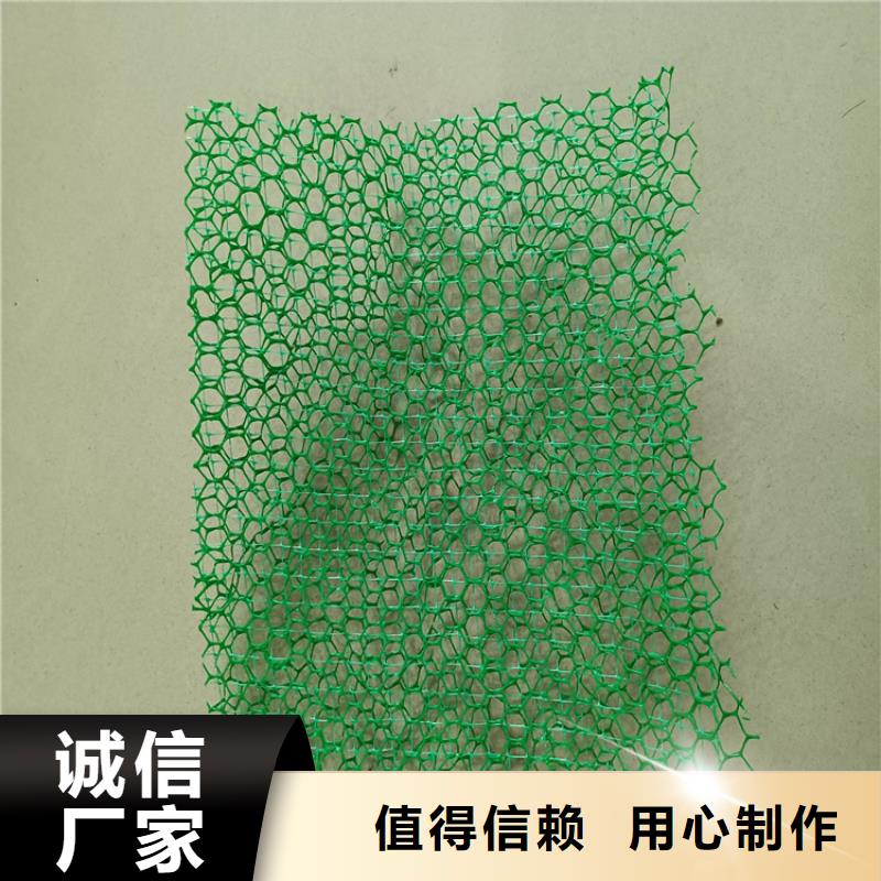 三维植被网#塑料护坡