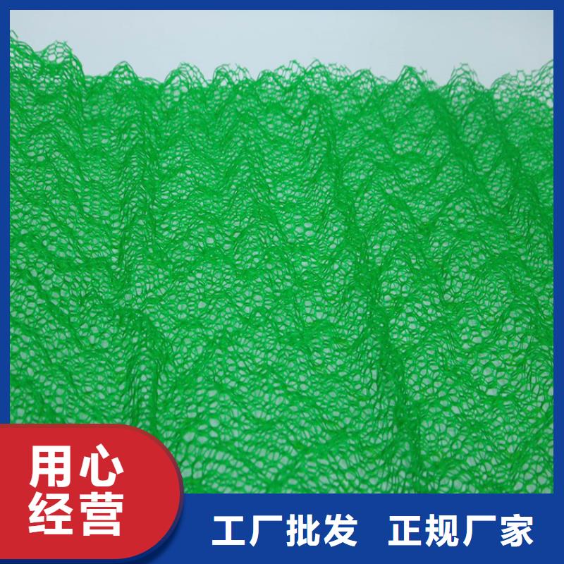 三维护坡植草网垫