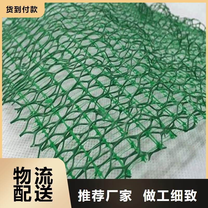 三维植被网#塑料护坡