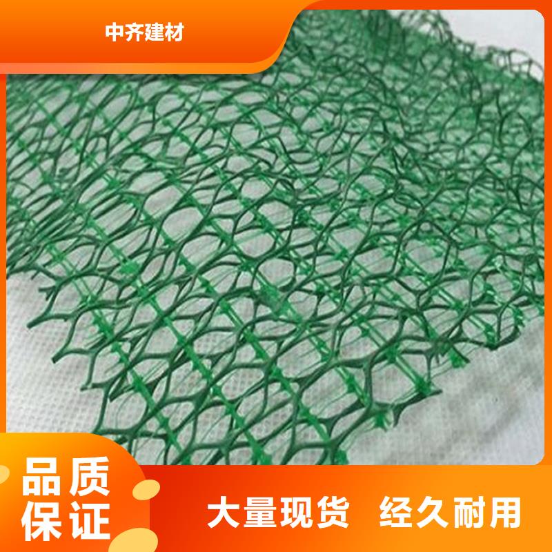 绿化塑料三维加筋土工网垫