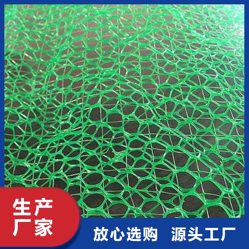 三维植草护坡网垫-三维土工网垫